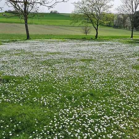 Ferienwohnung Lindenallee Hunolstein مورباخ